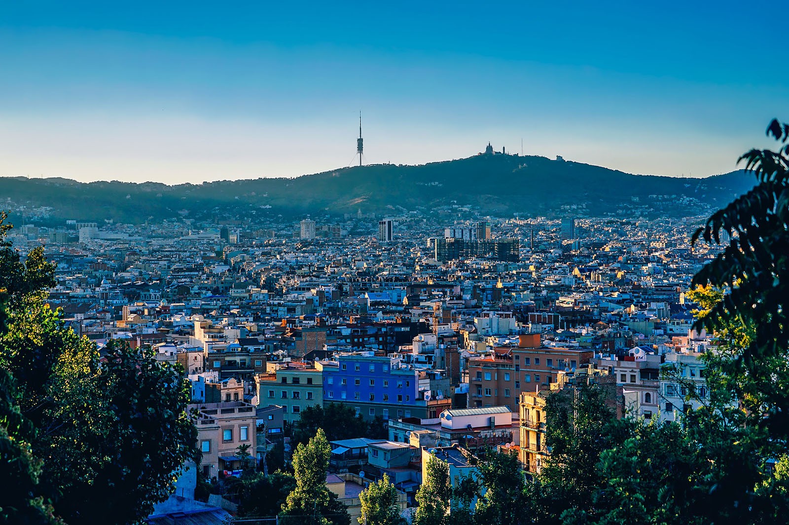 The city of Barcelona taken from height and distance. The size of the city is truly on show; its thousands of buildings populating the frame with a beautiful blue sky overhead.