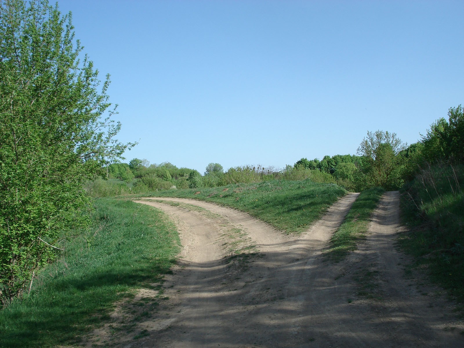 A forked path in a green setting, signifying an opportunity to change the path one is headed down.